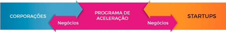 Grafico_Conexao_Programa_de_Aceleracao_Liga_Ventures